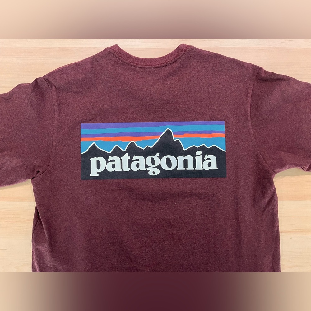 Patagonia Responsibili-tee. Size S.